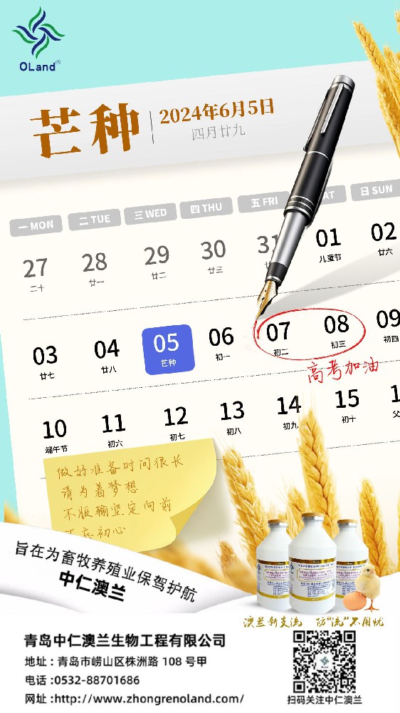 芒種手機(jī)海報.jpg