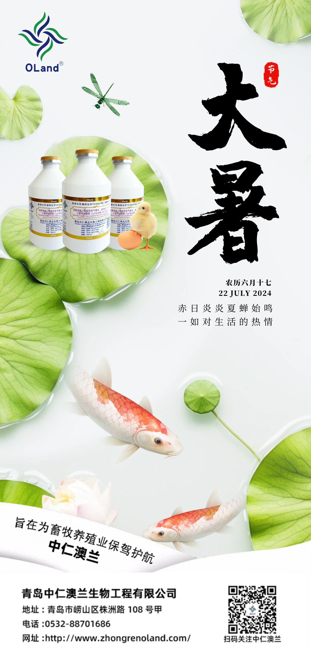大暑節(jié)氣問候手機海報.jpg